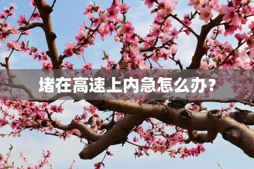 堵在高速上内急怎么办？