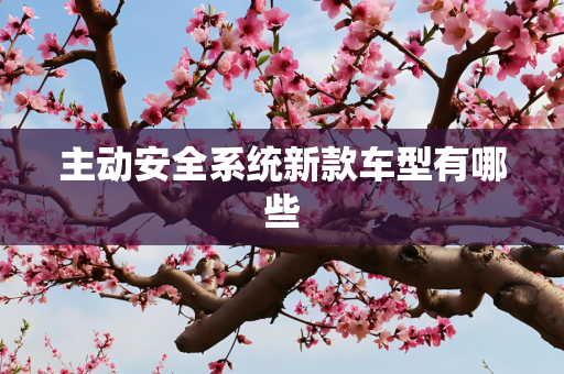 主动安全系统新款车型有哪些