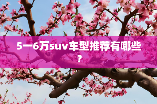 5一6万suv车型推荐有哪些？