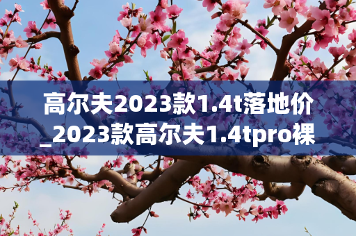 高尔夫2023款1.4t落地价_2023款高尔夫1.4tpro裸车高配啥价