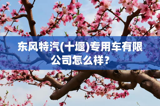 东风特汽(十堰)专用车有限公司怎么样？