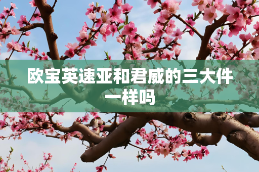 欧宝英速亚和君威的三大件一样吗