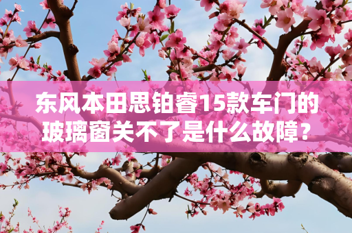东风本田思铂睿15款车门的玻璃窗关不了是什么故障？
