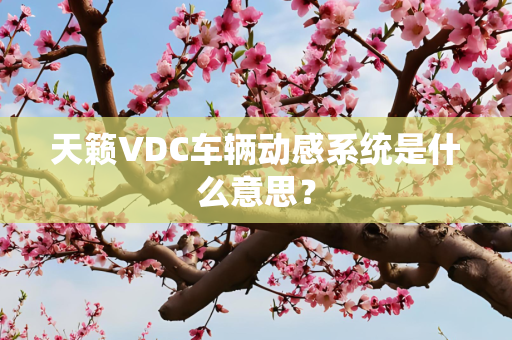 天籁VDC车辆动感系统是什么意思？