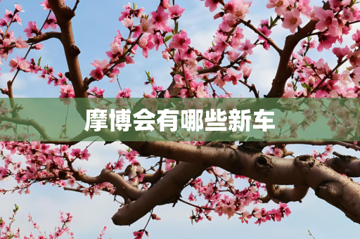 摩博会有哪些新车