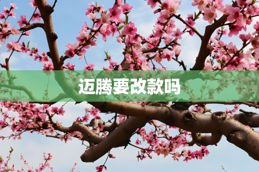 迈腾要改款吗