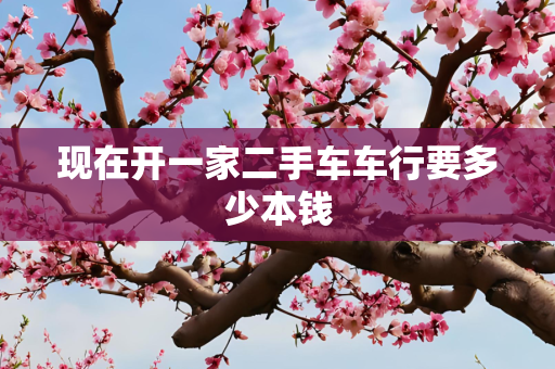 现在开一家二手车车行要多少本钱