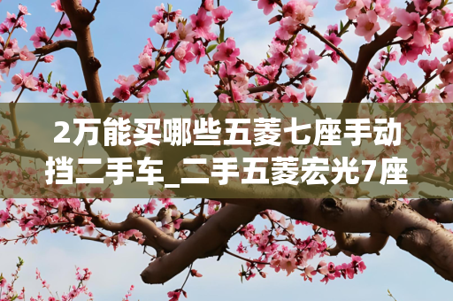 2万能买哪些五菱七座手动挡二手车_二手五菱宏光7座车一万左右