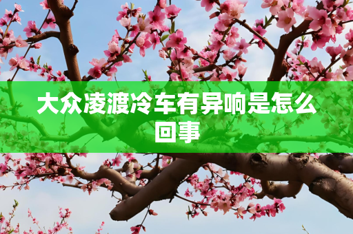大众凌渡冷车有异响是怎么回事