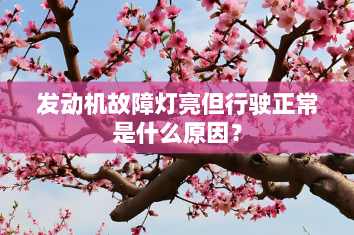 发动机故障灯亮但行驶正常是什么原因？