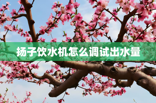 扬子饮水机怎么调试出水量