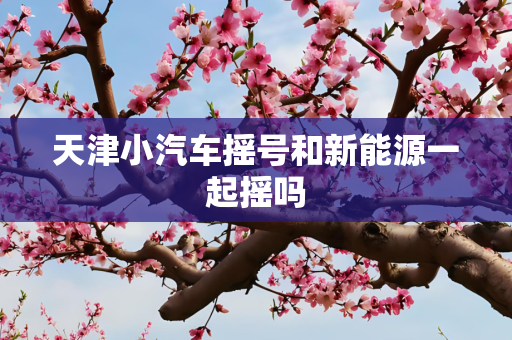 天津小汽车摇号和新能源一起摇吗
