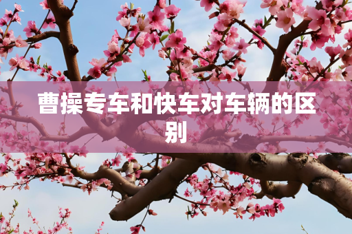 曹操专车和快车对车辆的区别