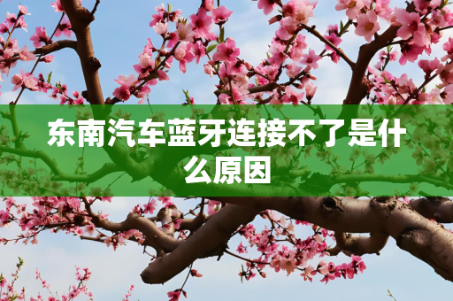 东南汽车蓝牙连接不了是什么原因