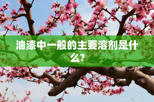 油漆中一般的主要溶剂是什么?