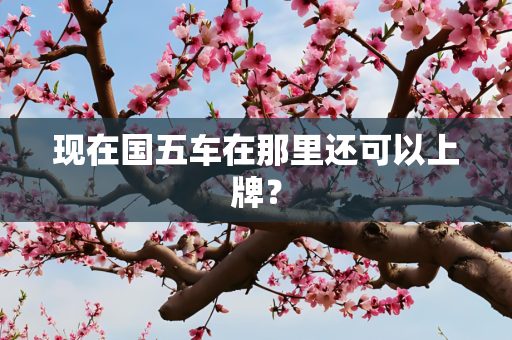 国际 第261页