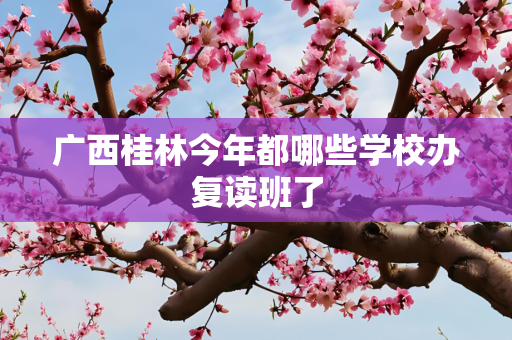 广西桂林今年都哪些学校办复读班了