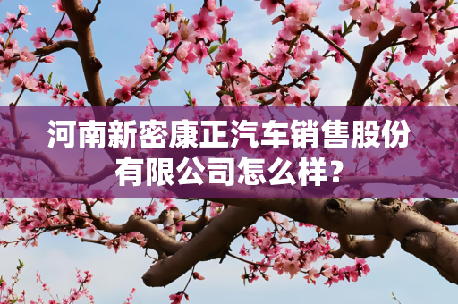河南新密康正汽车销售股份有限公司怎么样？