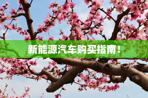 新能源汽车购买指南！