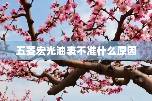 五菱宏光油表不准什么原因