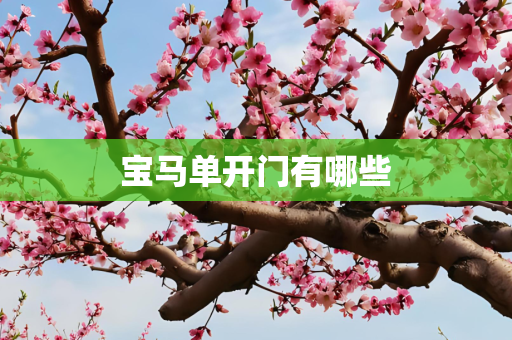 宝马单开门有哪些
