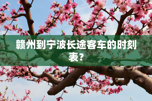 赣州到宁波长途客车的时刻表？
