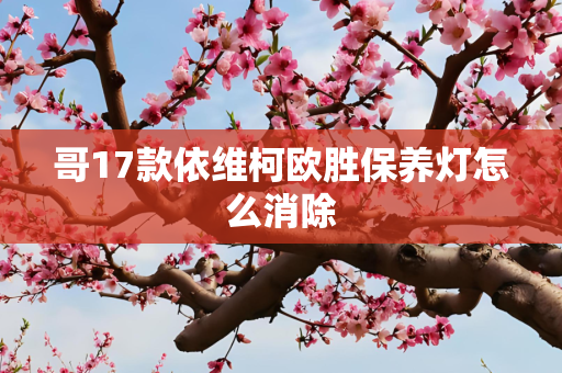 哥17款依维柯欧胜保养灯怎么消除