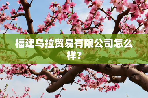 福建乌拉贸易有限公司怎么样？