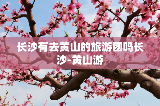长沙有去黄山的旅游团吗长沙-黄山游