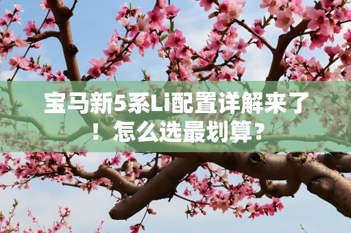 宝马新5系Li配置详解来了！怎么选最划算？