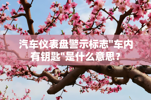 汽车仪表盘警示标志