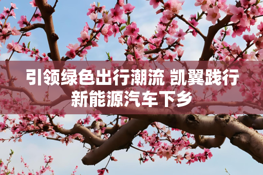 引领绿色出行潮流 凯翼践行新能源汽车下乡