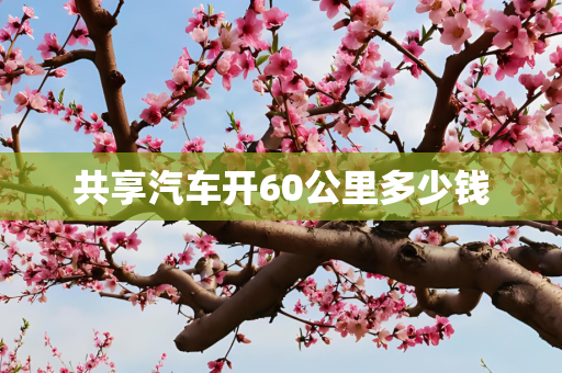 共享汽车开60公里多少钱