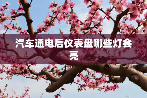 汽车通电后仪表盘哪些灯会亮