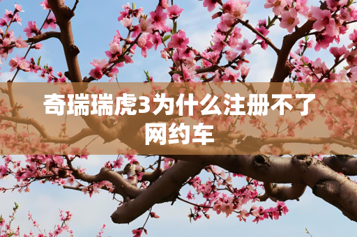 奇瑞瑞虎3为什么注册不了网约车