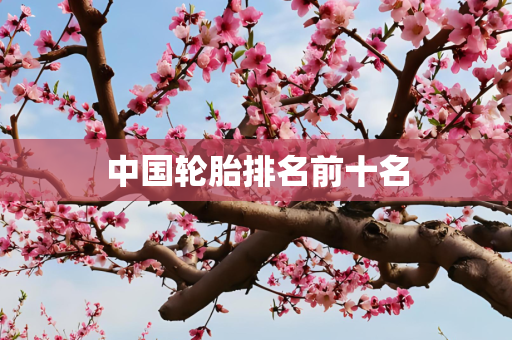 中国轮胎排名前十名