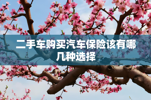 二手车购买汽车保险该有哪几种选择