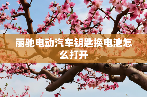 丽驰电动汽车钥匙换电池怎么打开