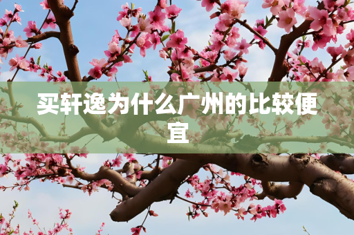 买轩逸为什么广州的比较便宜