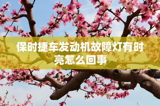 保时捷车发动机故障灯有时亮怎么回事