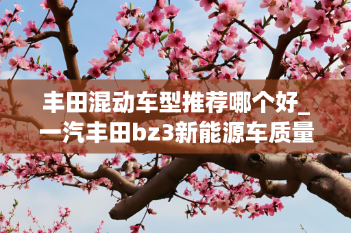 丰田混动车型推荐哪个好_一汽丰田bz3新能源车质量如何