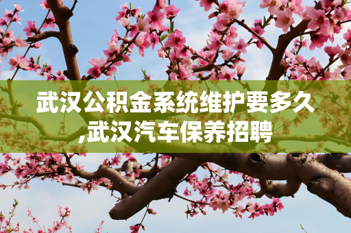 武汉公积金系统维护要多久,武汉汽车保养招聘