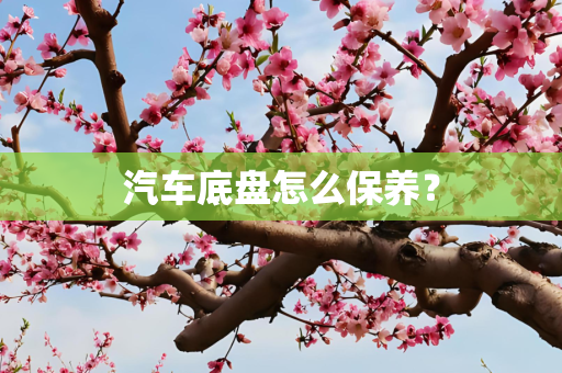 汽车底盘怎么保养？