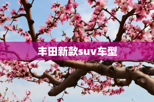 丰田新款suv车型