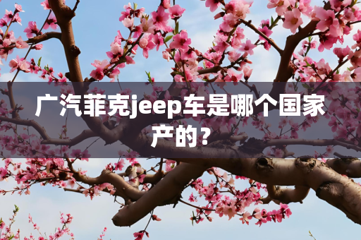 广汽菲克jeep车是哪个国家产的？