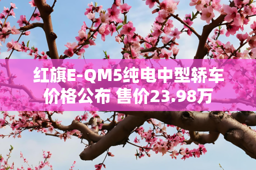 红旗E-QM5纯电中型轿车价格公布 售价23.98万