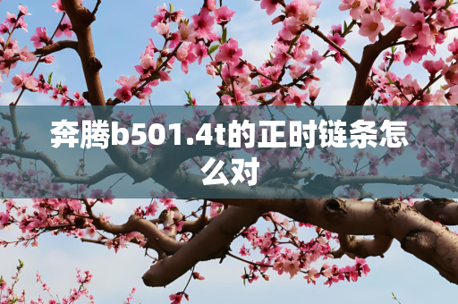 奔腾b501.4t的正时链条怎么对