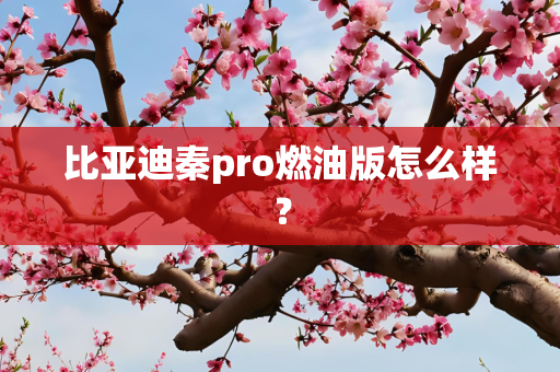 比亚迪秦pro燃油版怎么样？