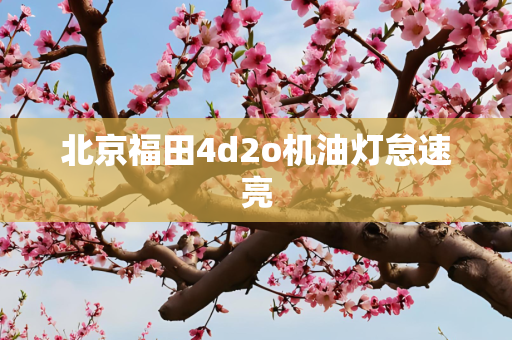 北京福田4d2o机油灯怠速亮