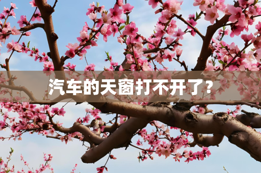 汽车的天窗打不开了？
